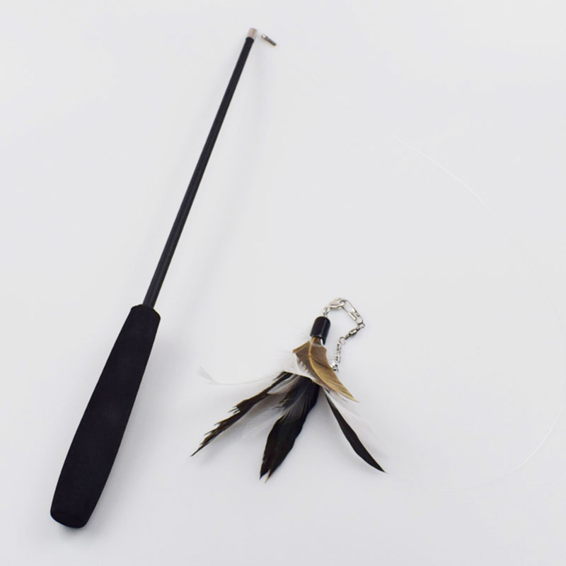 Canne à pêche télescopique à t - Fishing Rod Carbon Fiber avis et prix
