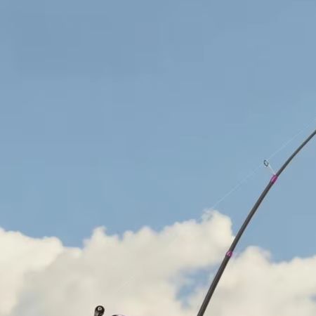 Canne à pêche articulée 1,8 m  - Fishing Rod Carbon Fiber avis et prix